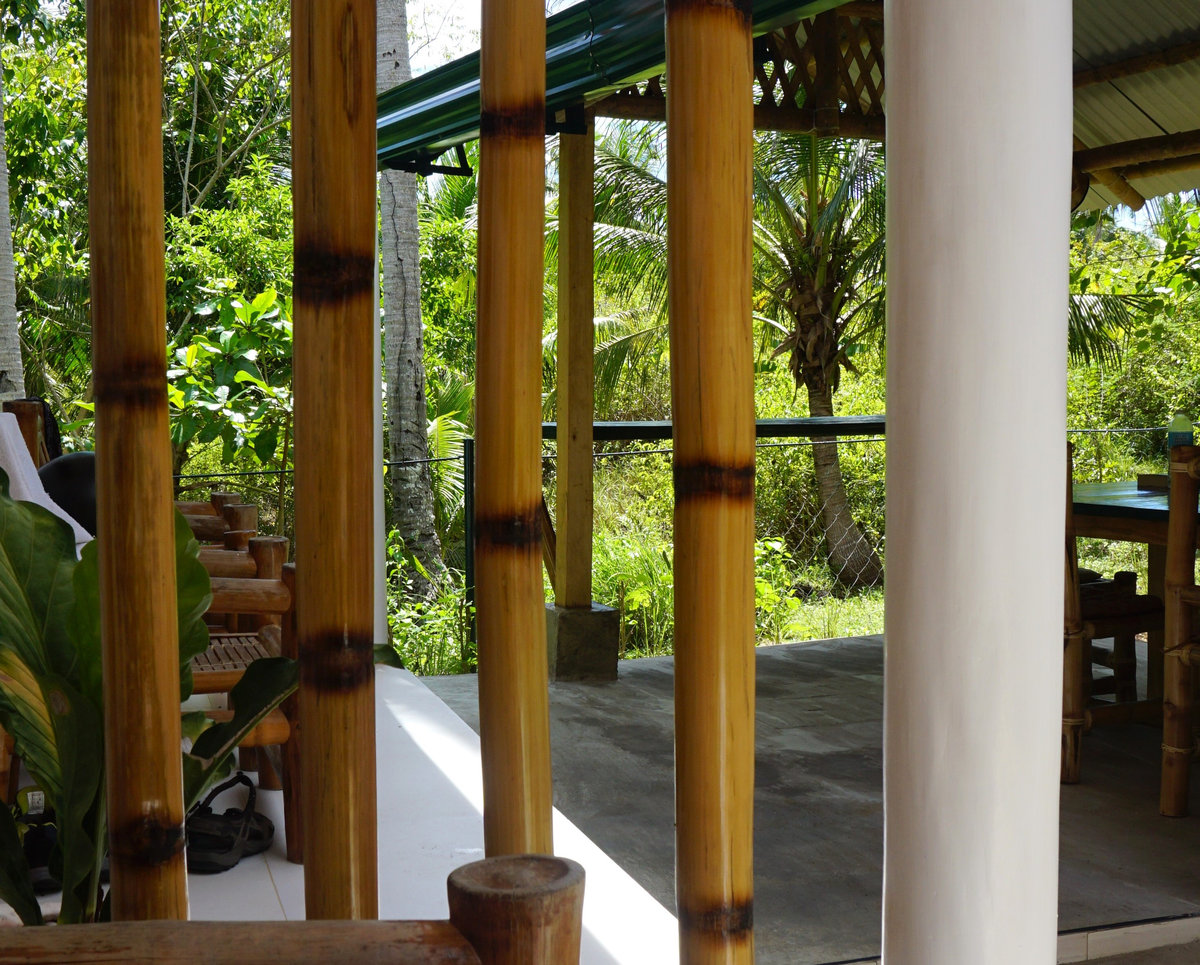 Garden View Room