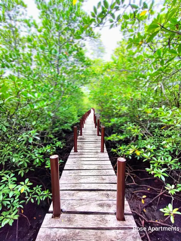 Mangrove Lamanok
