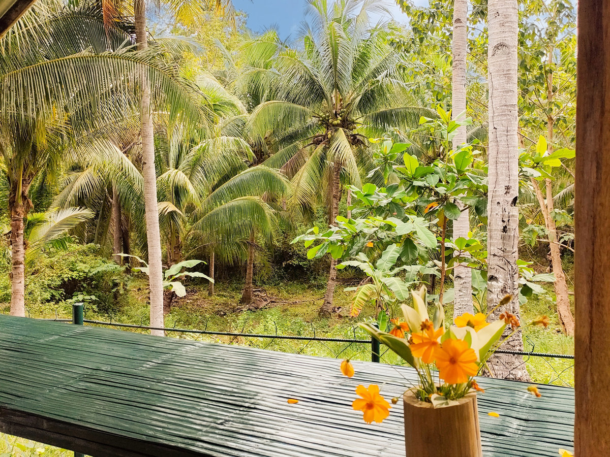 Hanging table with valley view