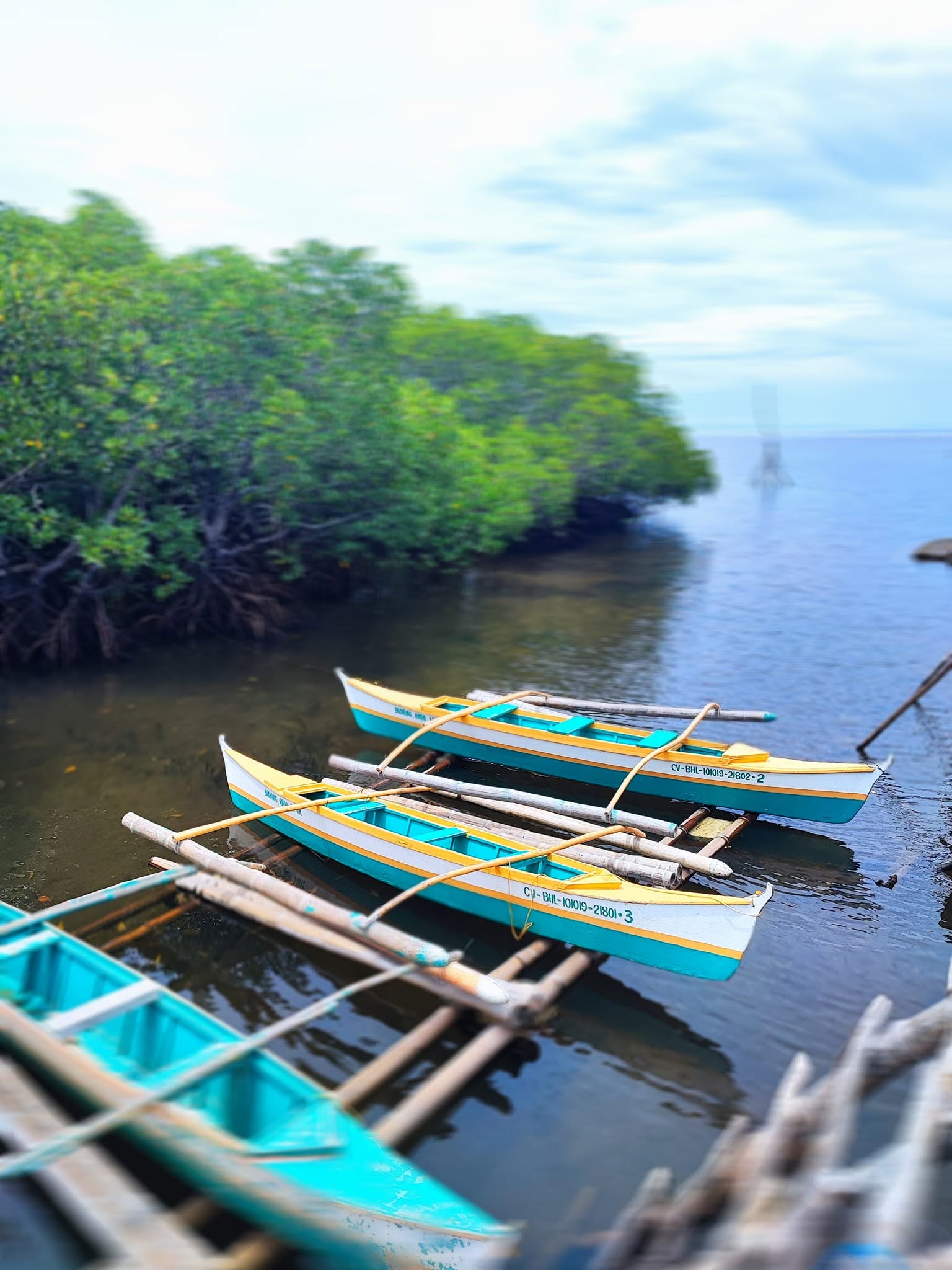 Tropical landscape Anda Bohol Philippines