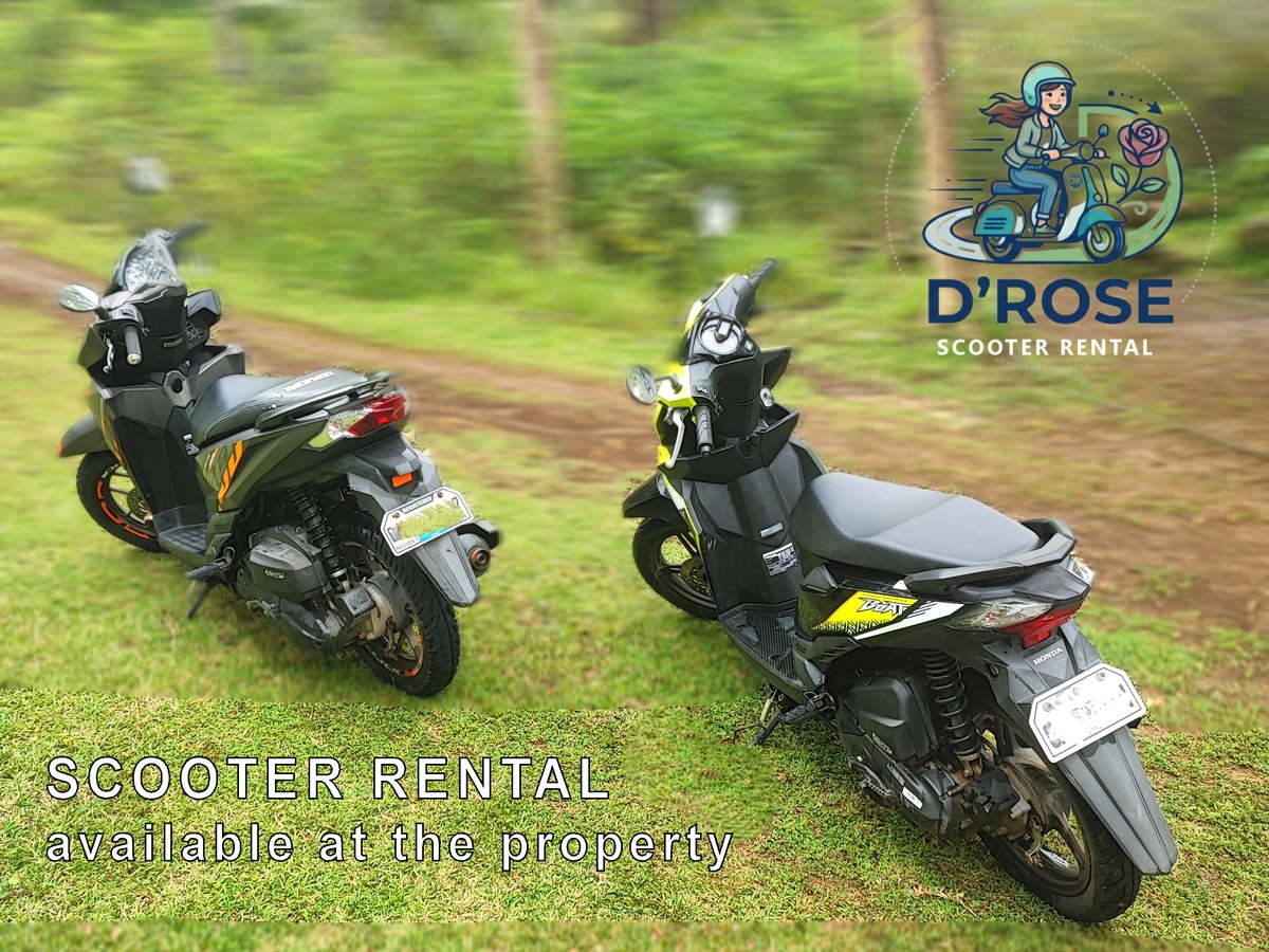 D'Rose Scooter Rental — available at Rose Apartments Anda Bohol